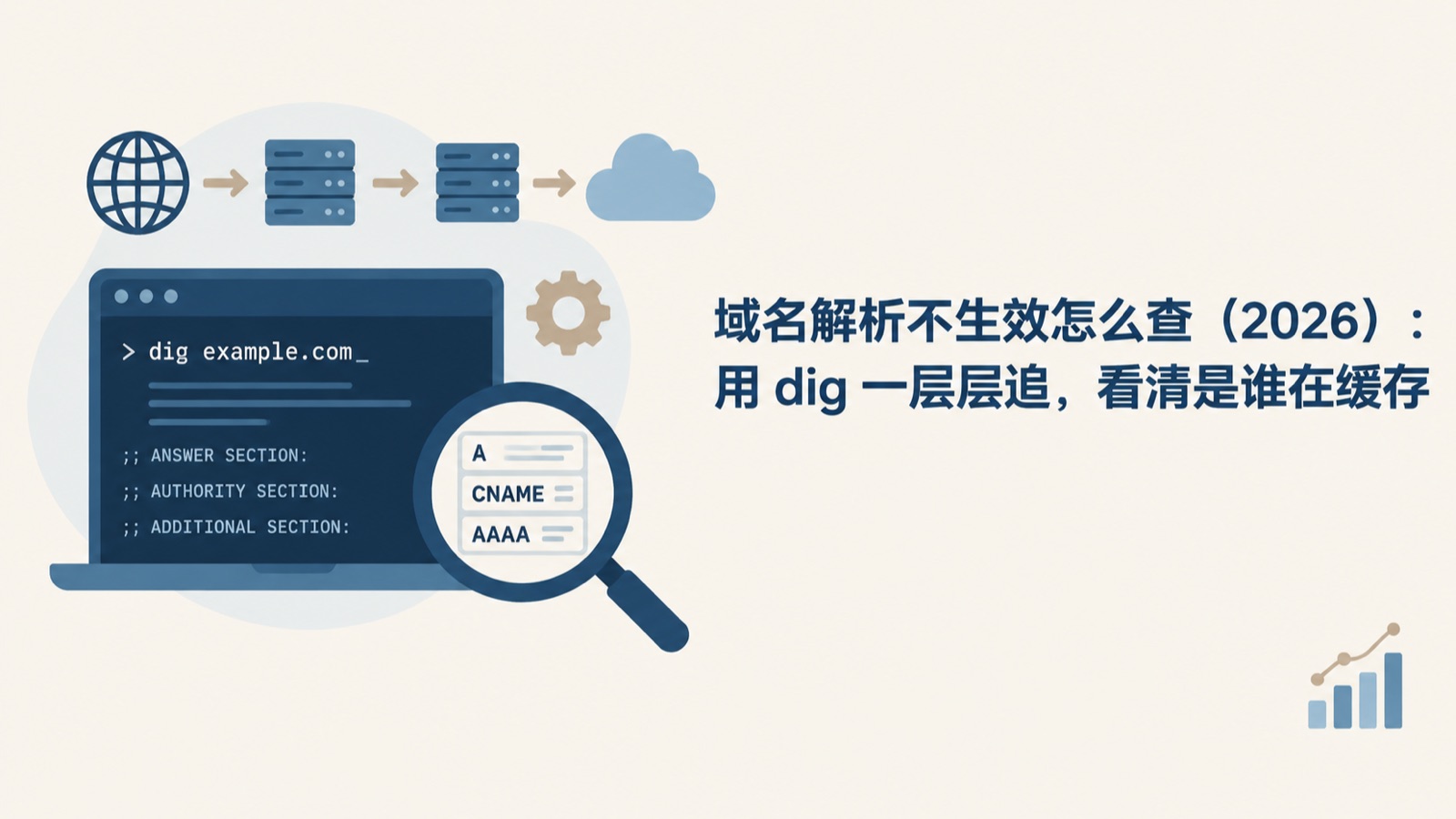 域名解析不生效怎么查（2026）：用 dig 一层层追，看清是谁在缓存-小绵羊的小窝